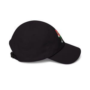 Black cap with a branded bluegrass flow logo on a white background