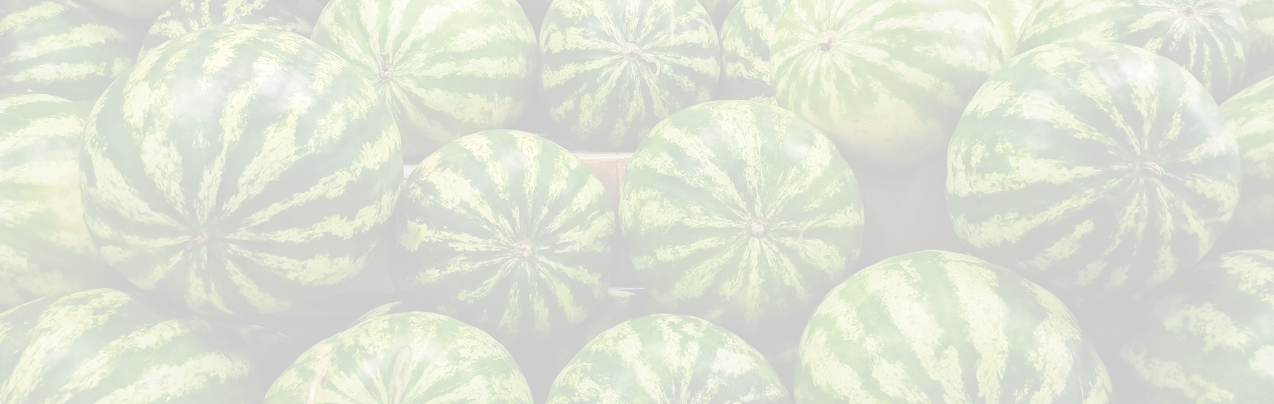Pattern of watermelons on a light gray background